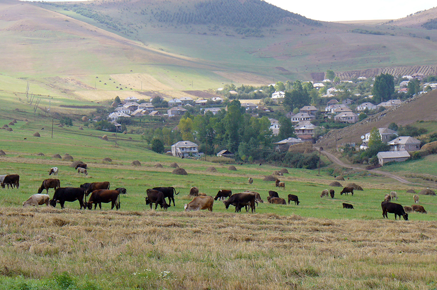 Gogavan vil. Lori marz Armenia