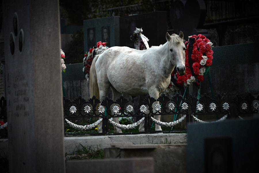 Vaghinak Ghazaryan photo
