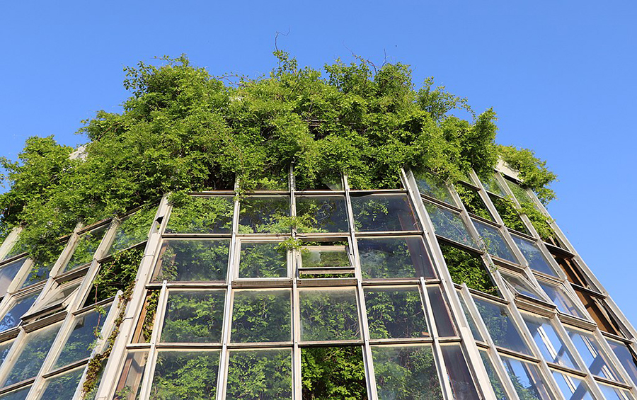 Yerevan Botanical Garden