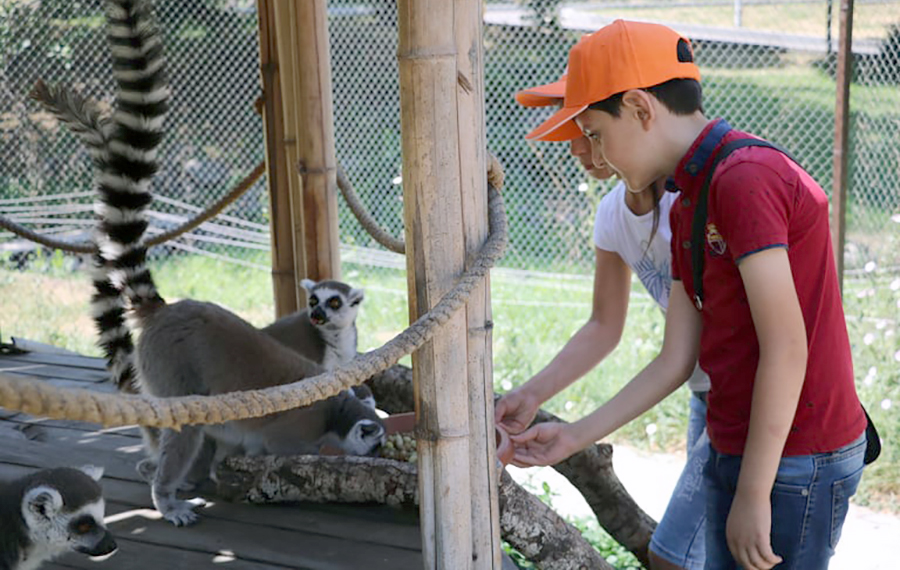 zoo Yerevan