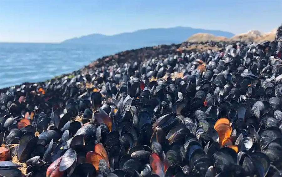 brit-columbia British Columbia