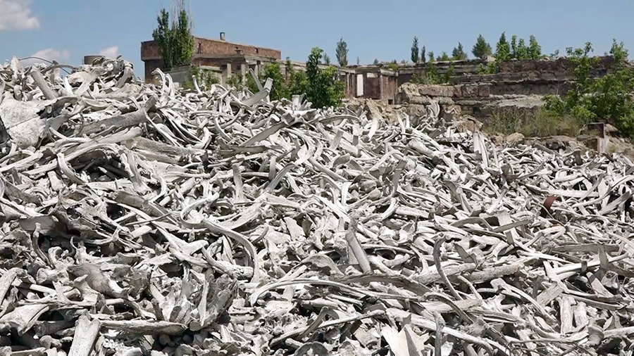 Gyumri meat-packing plant