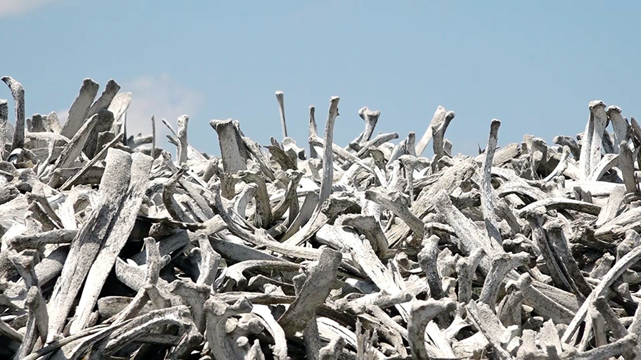 Gyumri meat-packing plant