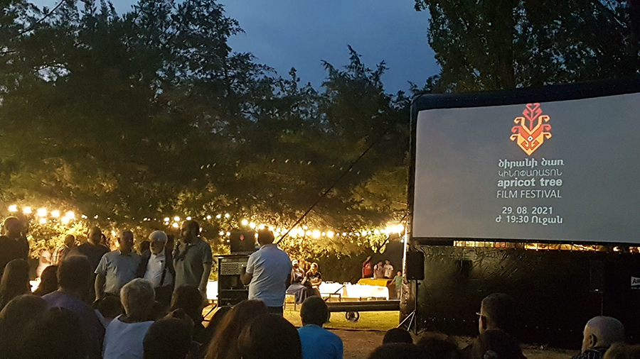 Apricot tree Festival