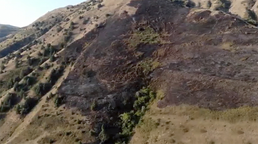 khosrov-forest Khosrov forest