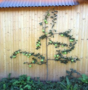 Green training center