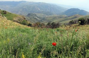 Khosrov forest