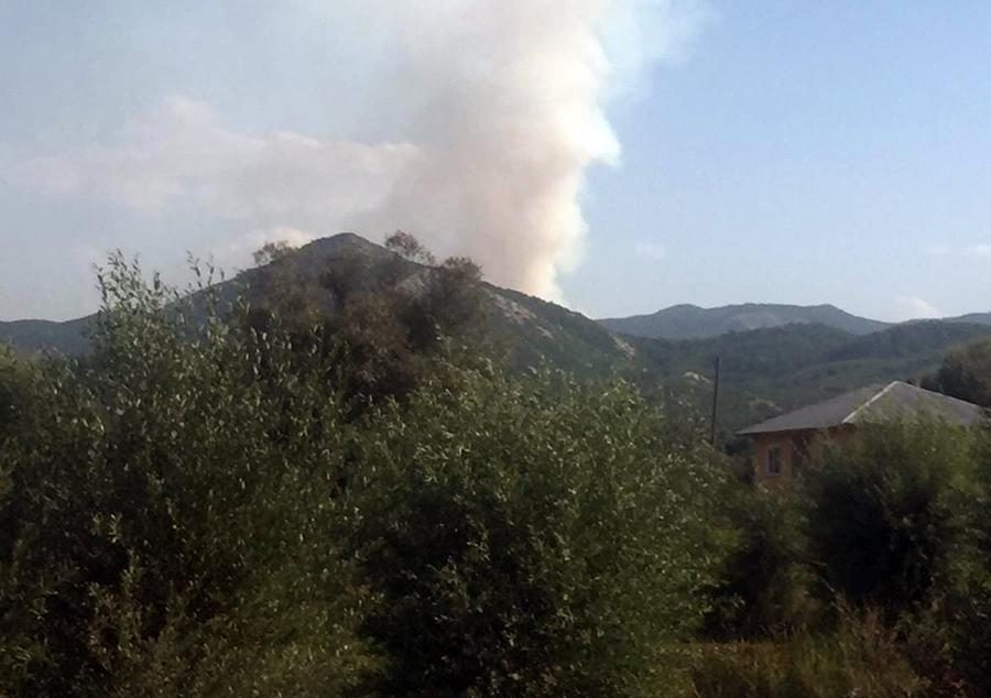 turkey-fire-2 Turkey fire