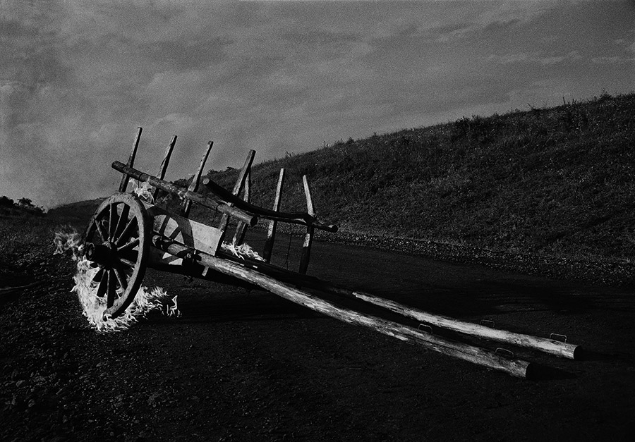 Photo by Gagik Harutyunyan