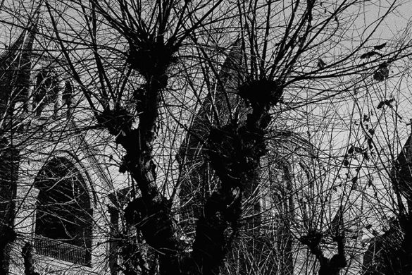 Photo by Gagik Harutyunyan