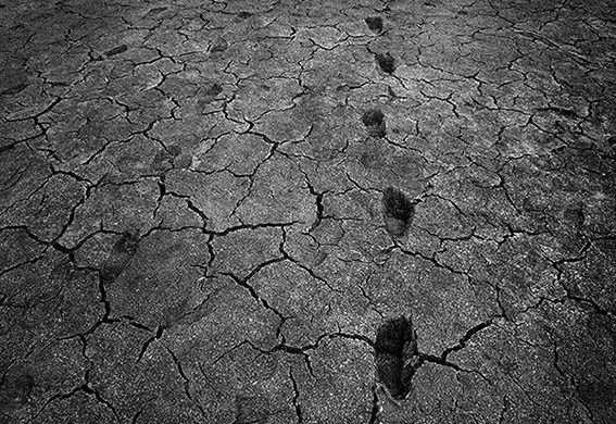 Photo by Gagik Harutyunyan