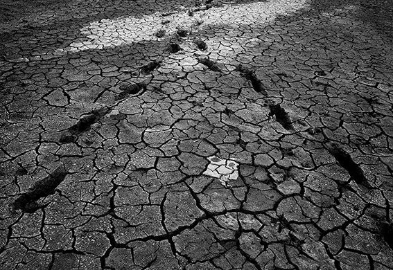 Photo by Gagik Harutyunyan