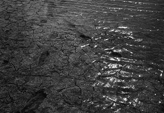 Photo by Gagik Harutyunyan