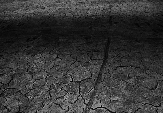 Photo by Gagik Harutyunyan