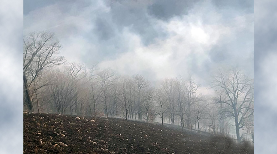 Dilijan National park