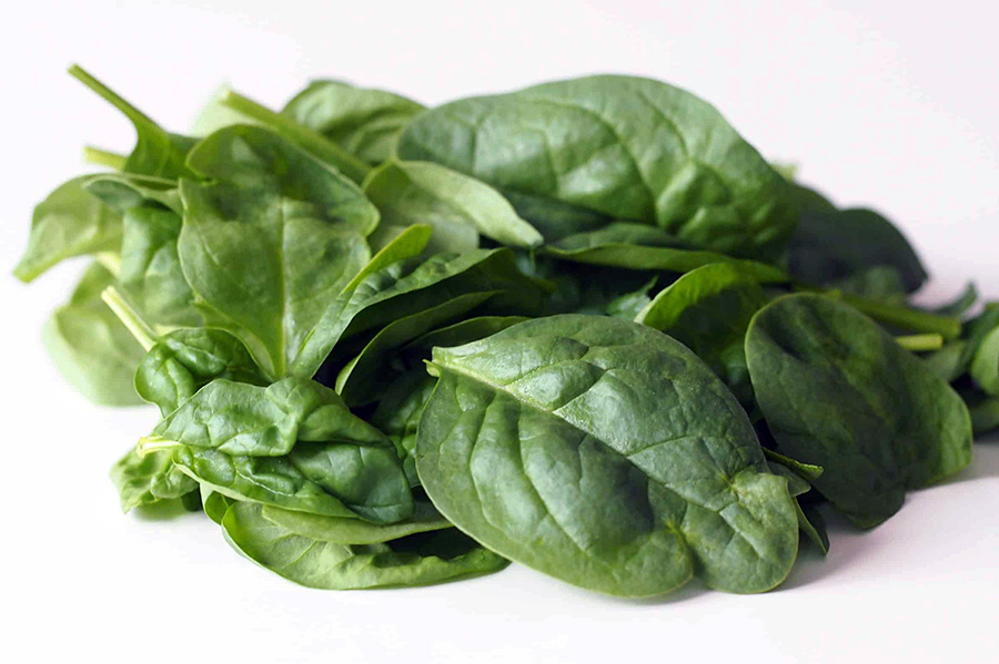 spinach Spinach