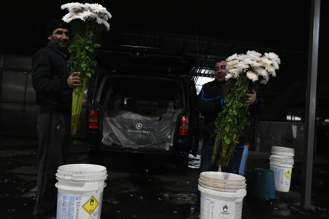 flower market