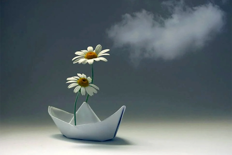 image-flowers flowers