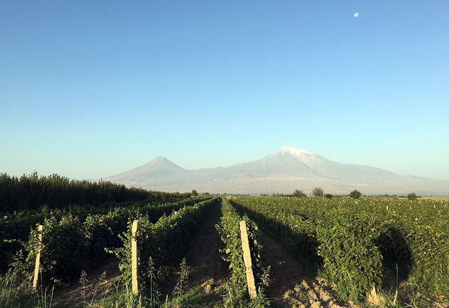 Ararat