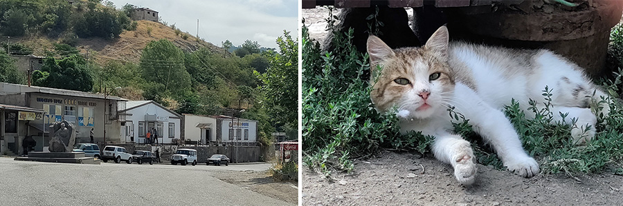 Berdzor