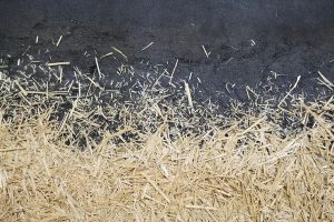 Exhibition Substratum