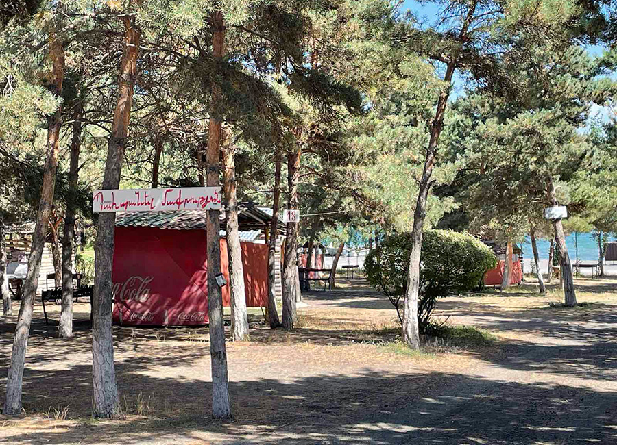 Sevan forest