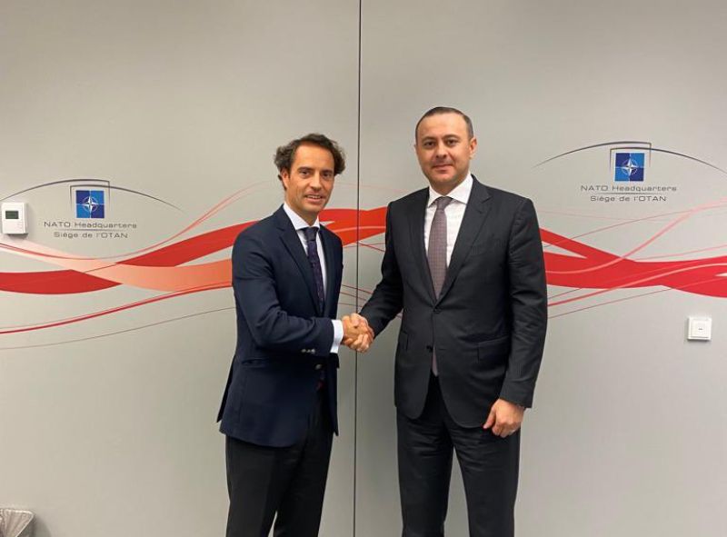 Grigoryan & Colomina