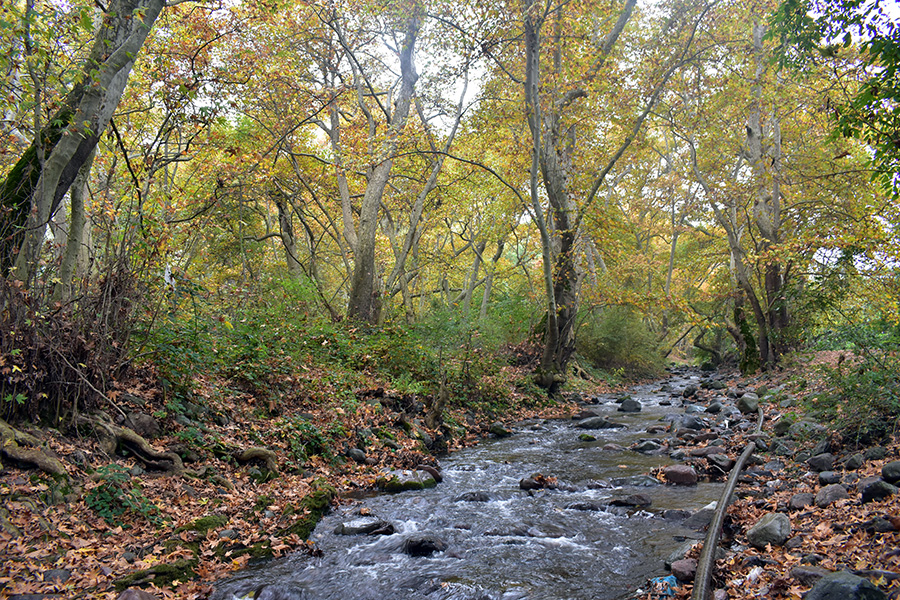 Tsav river