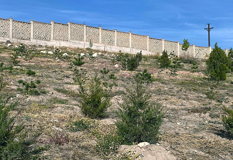 Yerevan landscaping