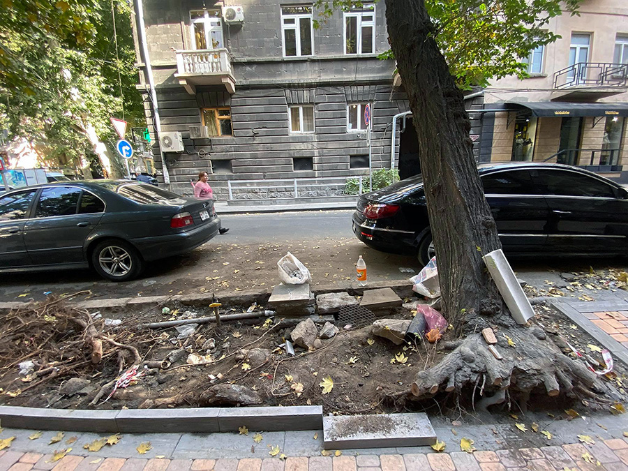 Yerevan landscaping