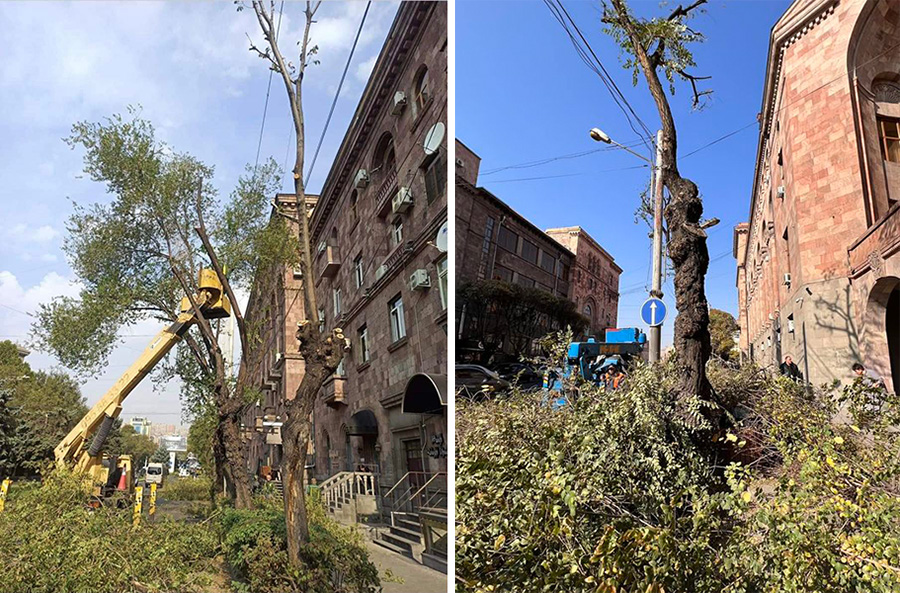 Yerevan landscaping