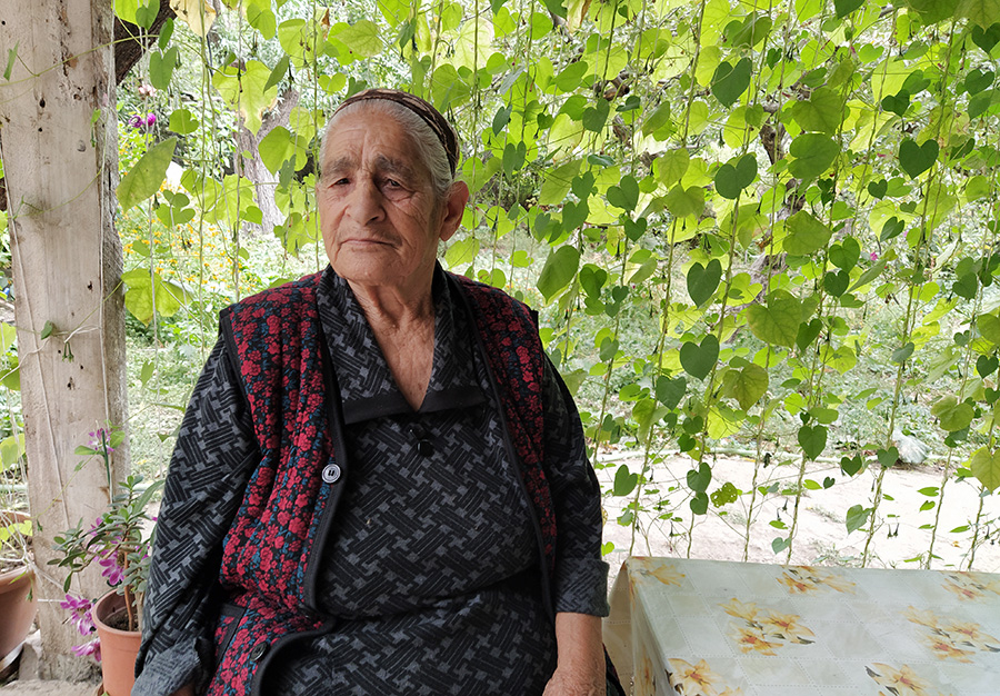 Zedea village, Vardush