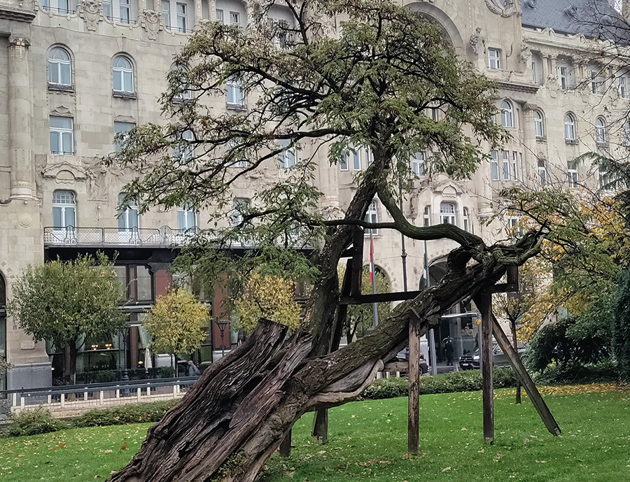 hungary-academy Hungary academy