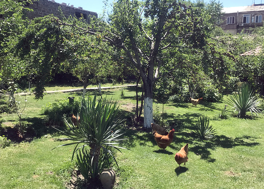 Firdus, Yerevan