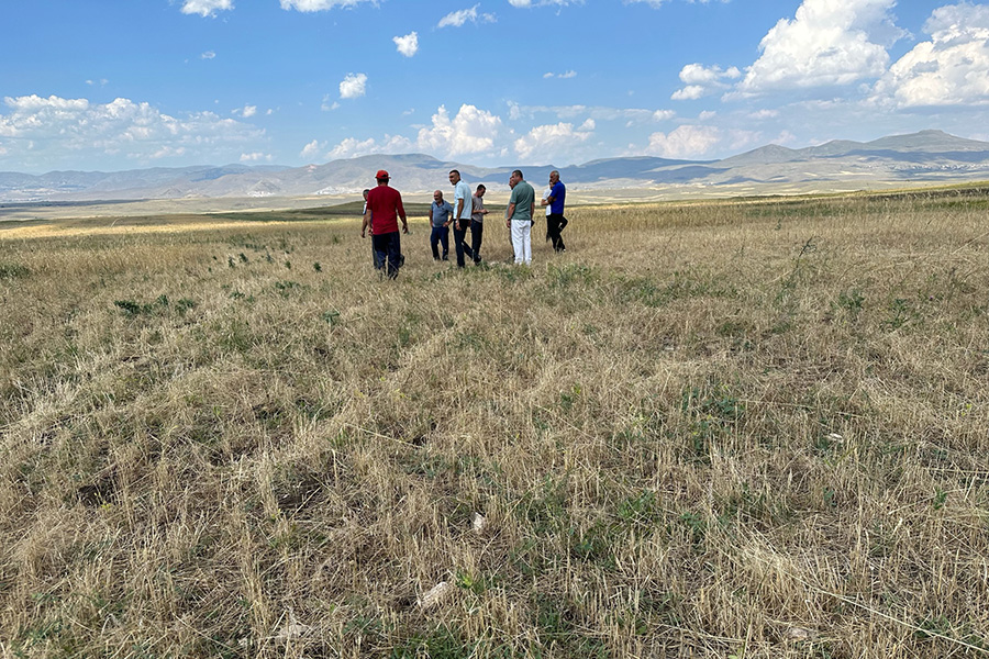 Վնասված դաշտ