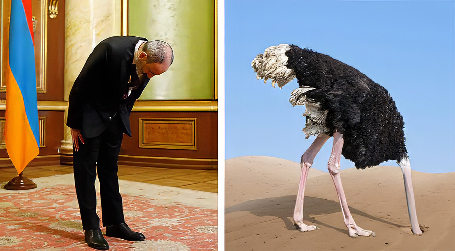 pashinyan-56 Փաշինյան եւ ջայլամ