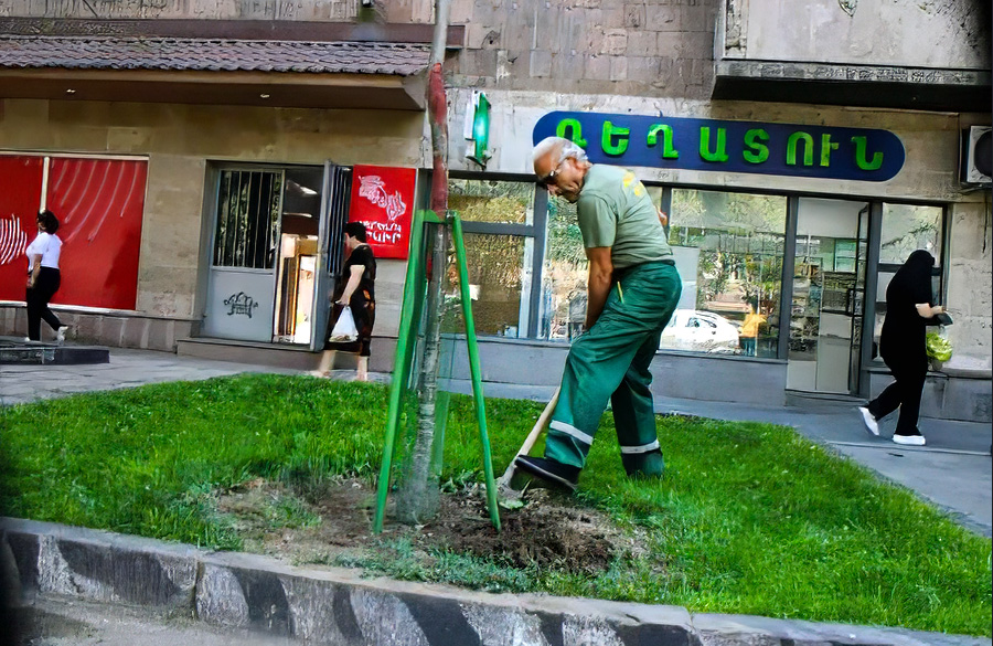 կանաչապատում, Երեւան