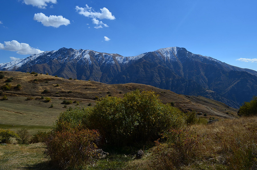 Գլաձորի հանքավայր