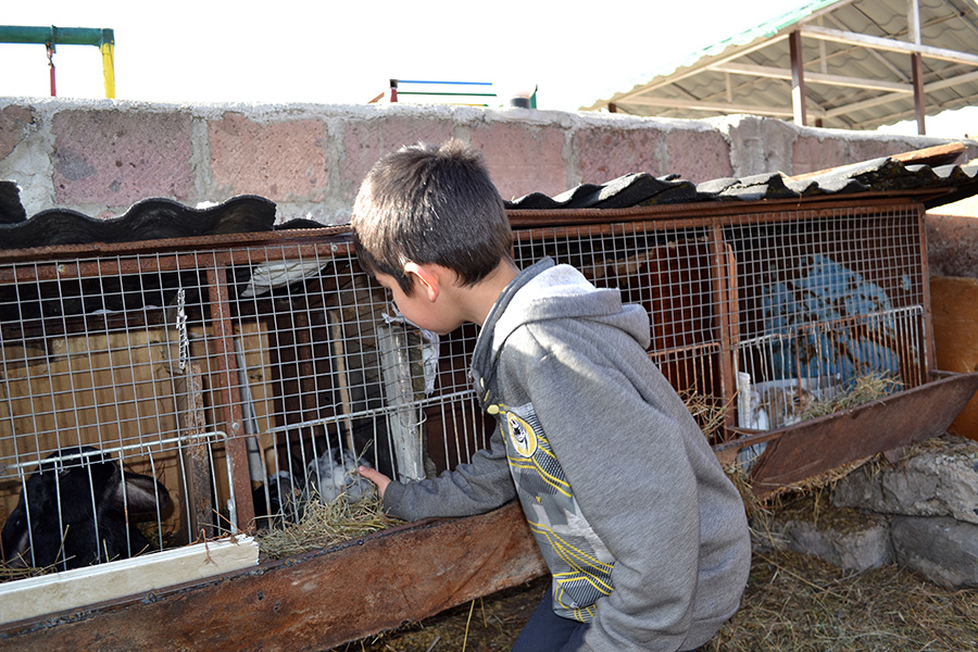 Լուսինե Ծատրյանի տղան
