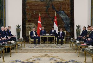 erdoghan-sisi