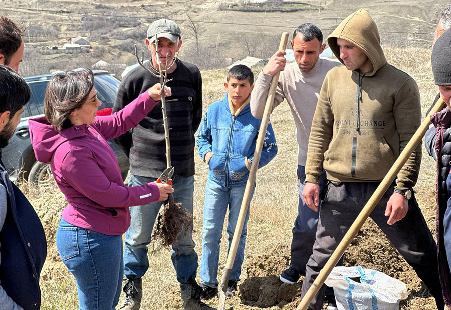 Բազում գյուղ