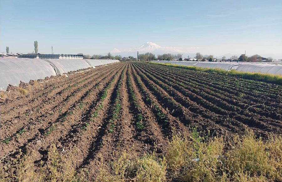 հողատարածք
