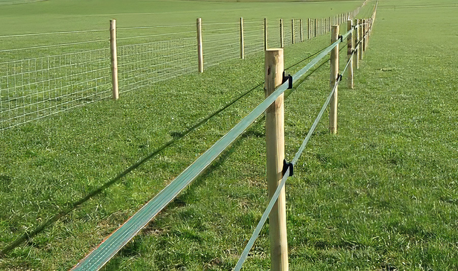 էլեկտրական հովիվ