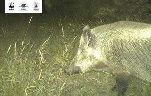 Արտավան, զբոսաշրջային կենտրոն