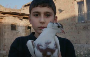 Սարին Հայրապետյան