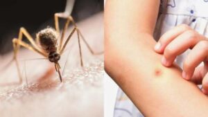 Արևմտյան Նեղոսի տենդ