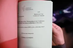 Տեղեկագիր